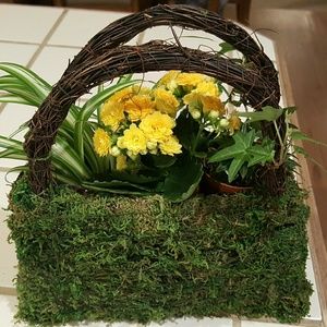 Meet your Posher, Laura