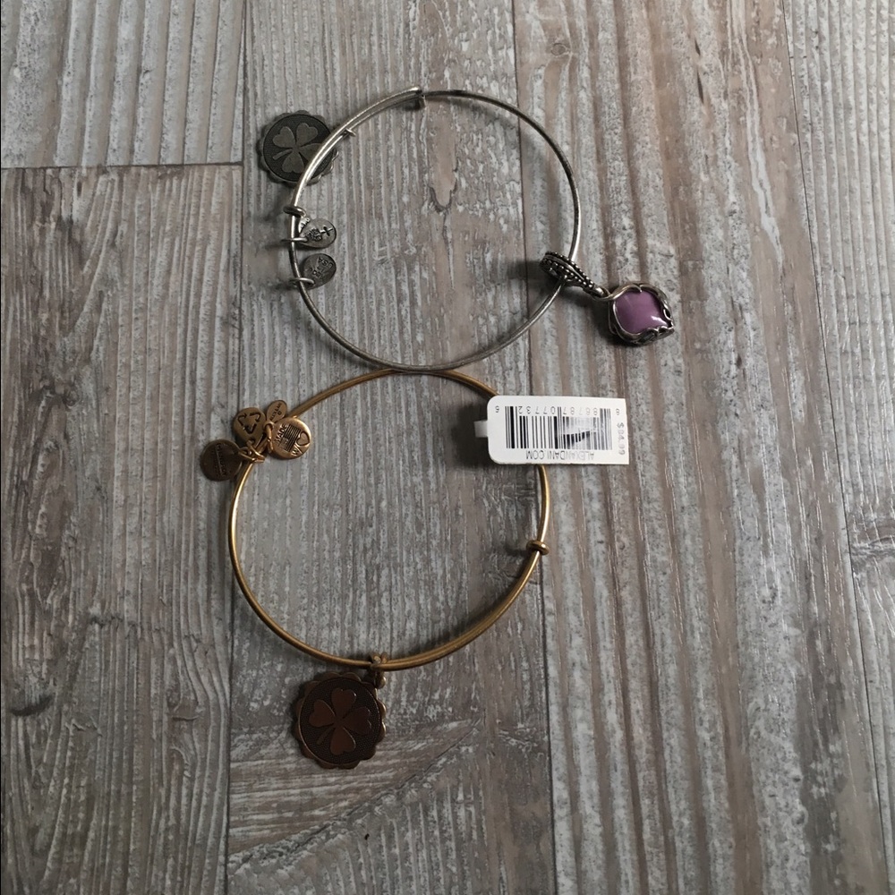 Two Alex and Ani bracelets