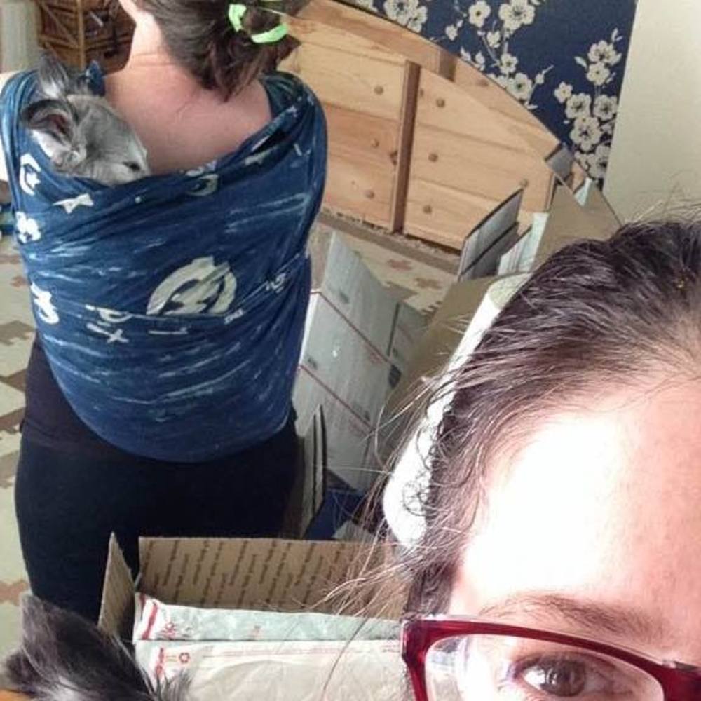Meet your Posher, Rachel