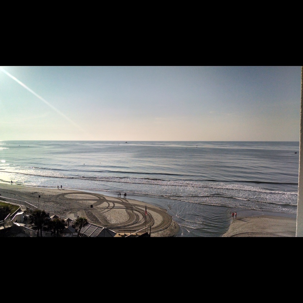 Meet your Posher, Shelly