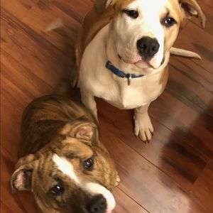 Meet your Posher, Christina