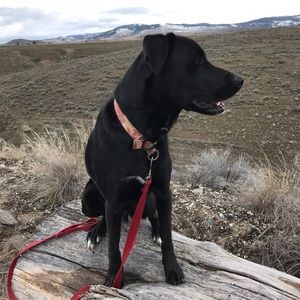 Meet your Posher, Connie