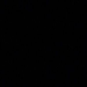 Meet your Posher, Amaya