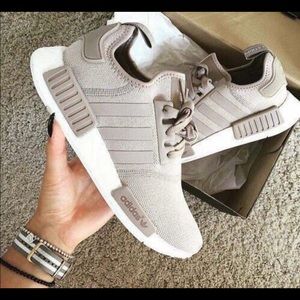 Meet your Posher, Noah