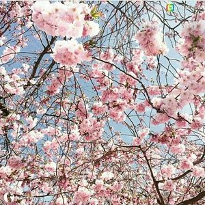 Meet your Posher, Tabitha