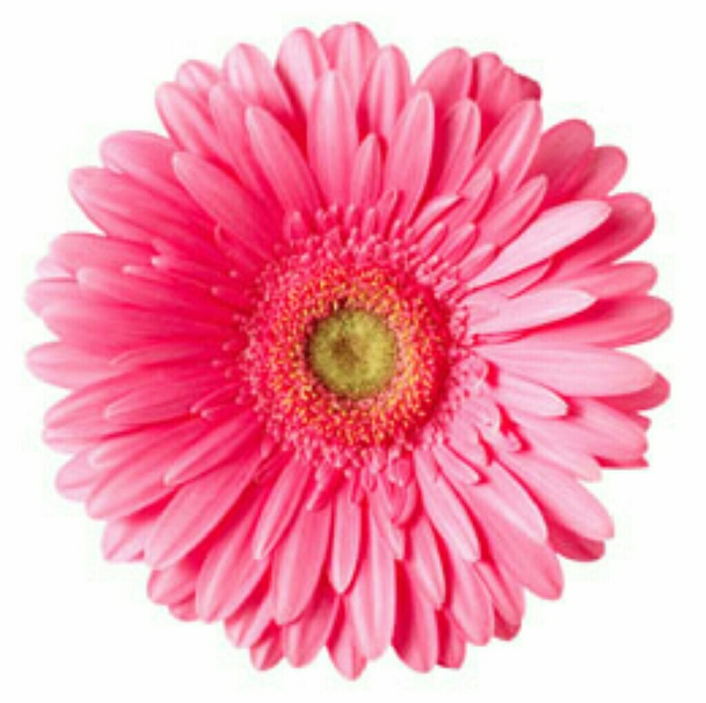 Welcome to my closet!