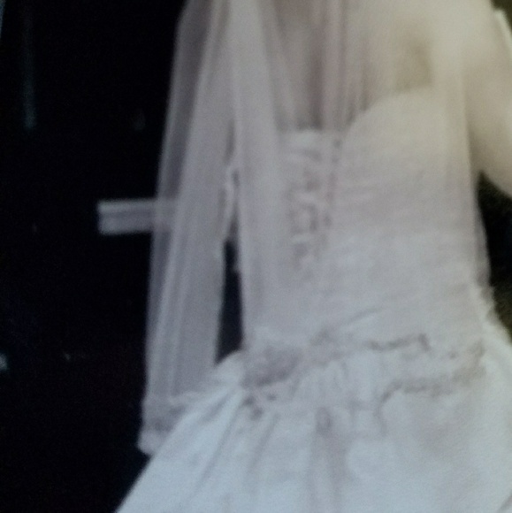Veil main image 4