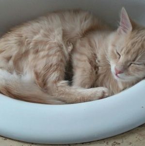 Meet your Posher, Rhonda