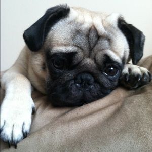 Meet your Posher, Brian