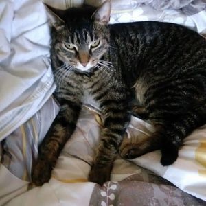 Meet your Posher, Pamela