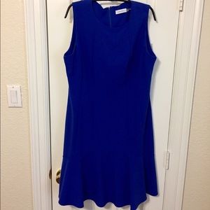 Calvin Klein Dress!