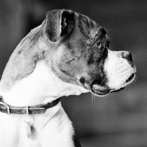 Meet your Posher, Lyn