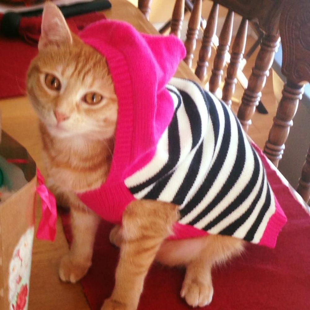 Meet your Posher, Tracey