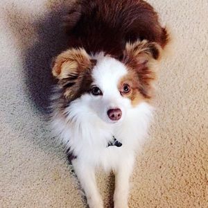 Meet your Posher, Tracy