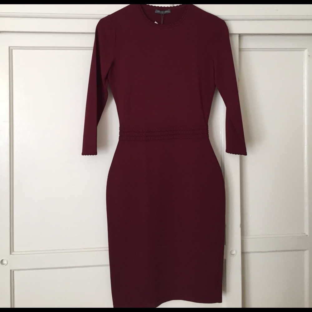 Alexander McQueen burgundy dress
