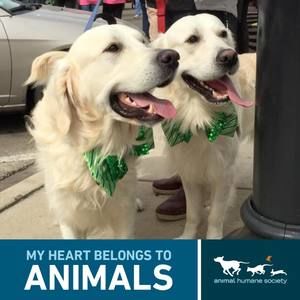 Meet your Posher, Ellen