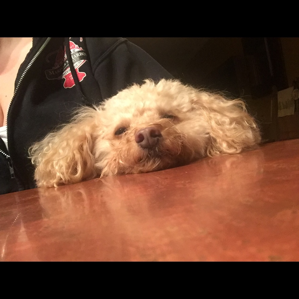 Meet your Posher, Sheri