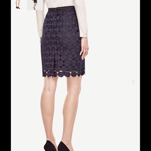 Ann Taylor circle lace skirt - Picture 6 of 8