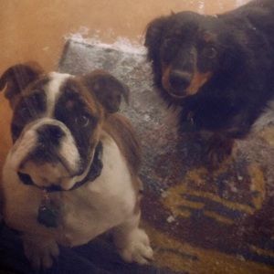 Meet your Posher, Ricky