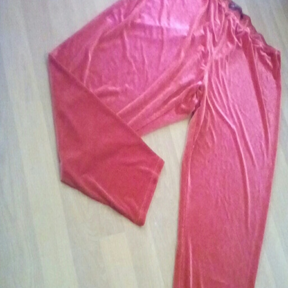 Addressing Woman Velvet Pants NWOT