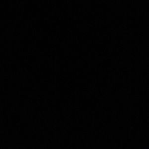 Meet your Posher, Shelby