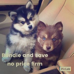 Bunndle or offer I need these items gone!