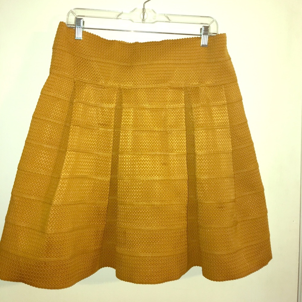 H&M Skirt