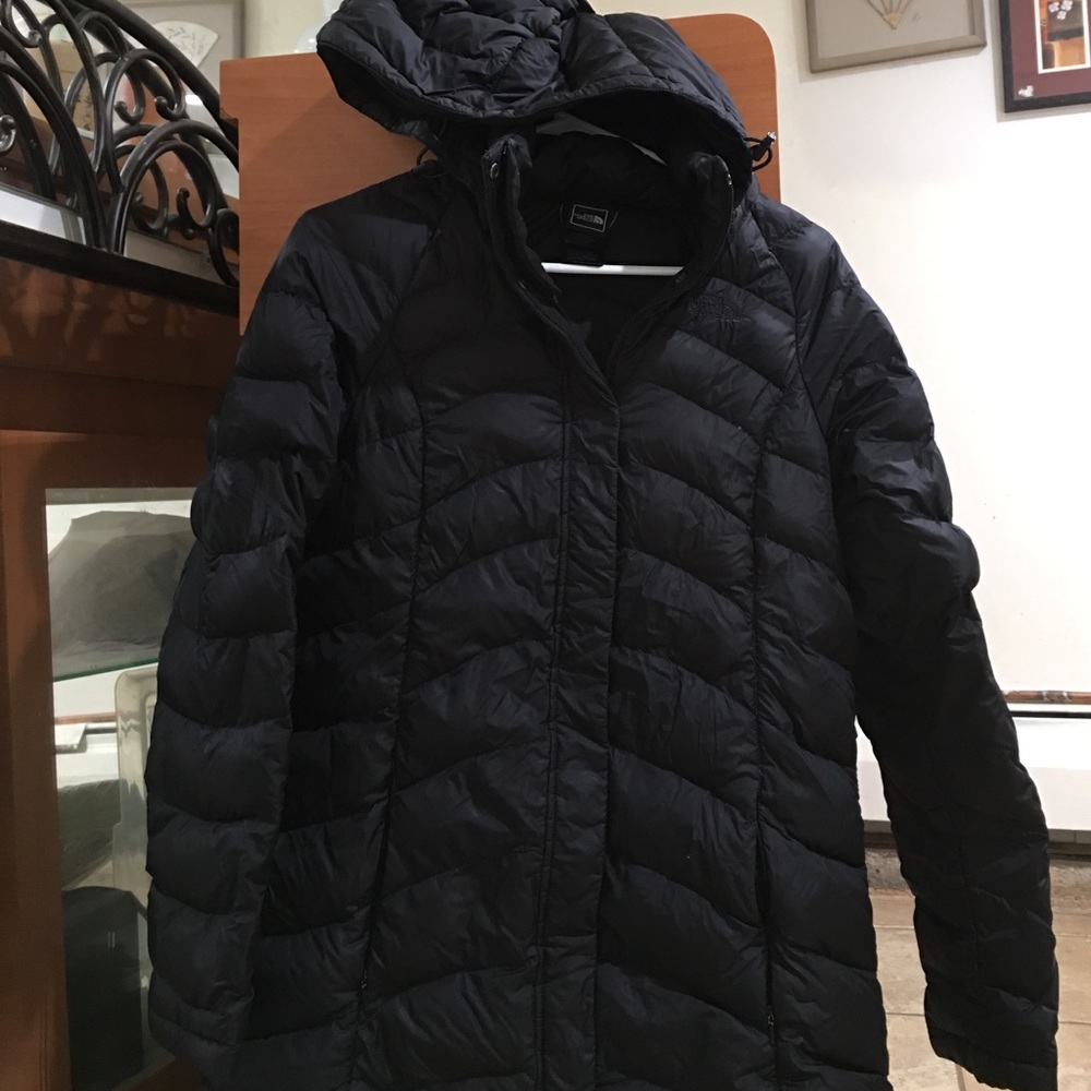 The north face  hoodie jacket