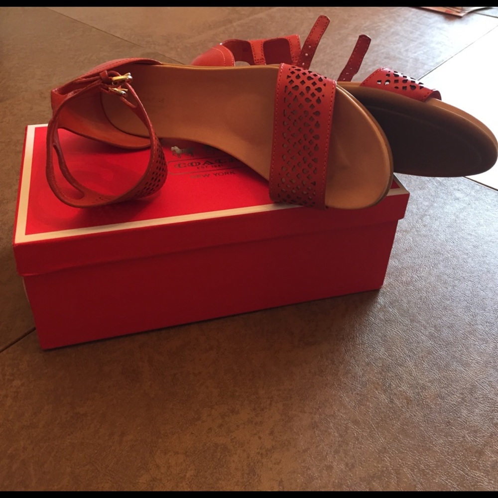 Gladiators sandals COACH