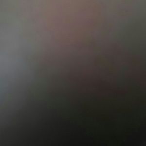 Meet your Posher, Celia