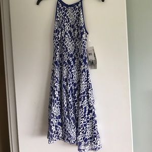 Blue/white dress