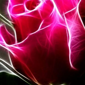 Meet your Posher, Kristina