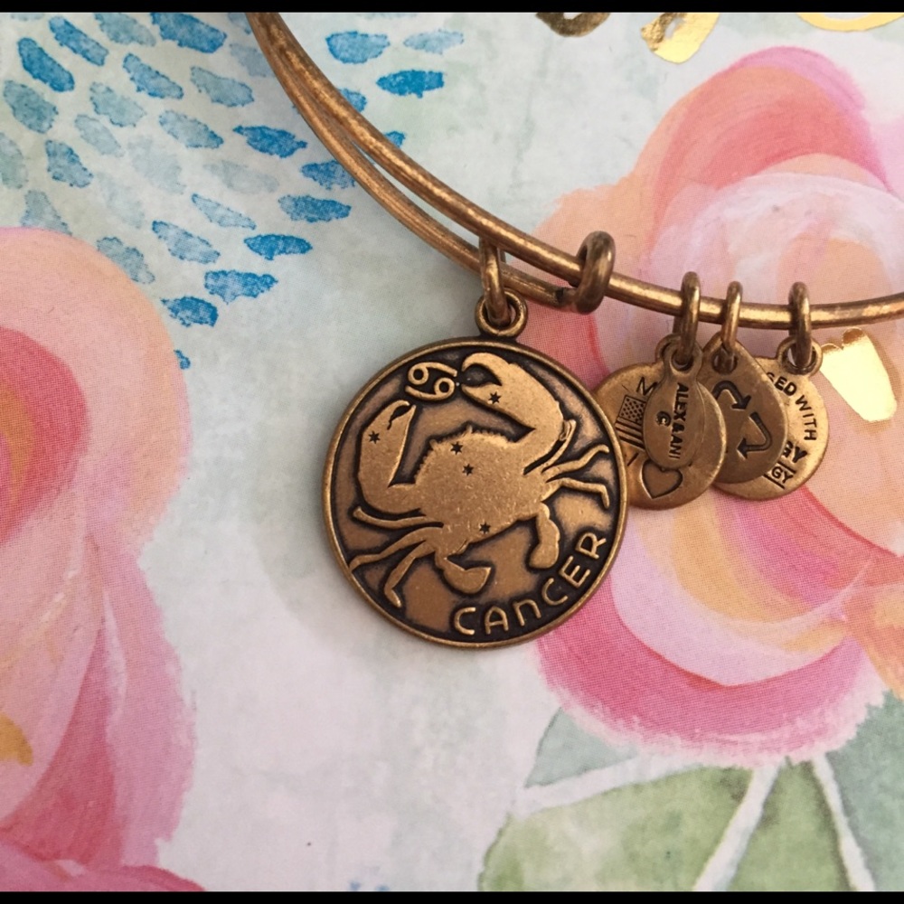 Alex & Ani