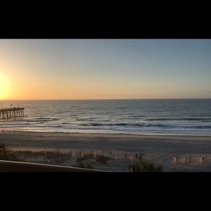 Meet your Posher, Hailee