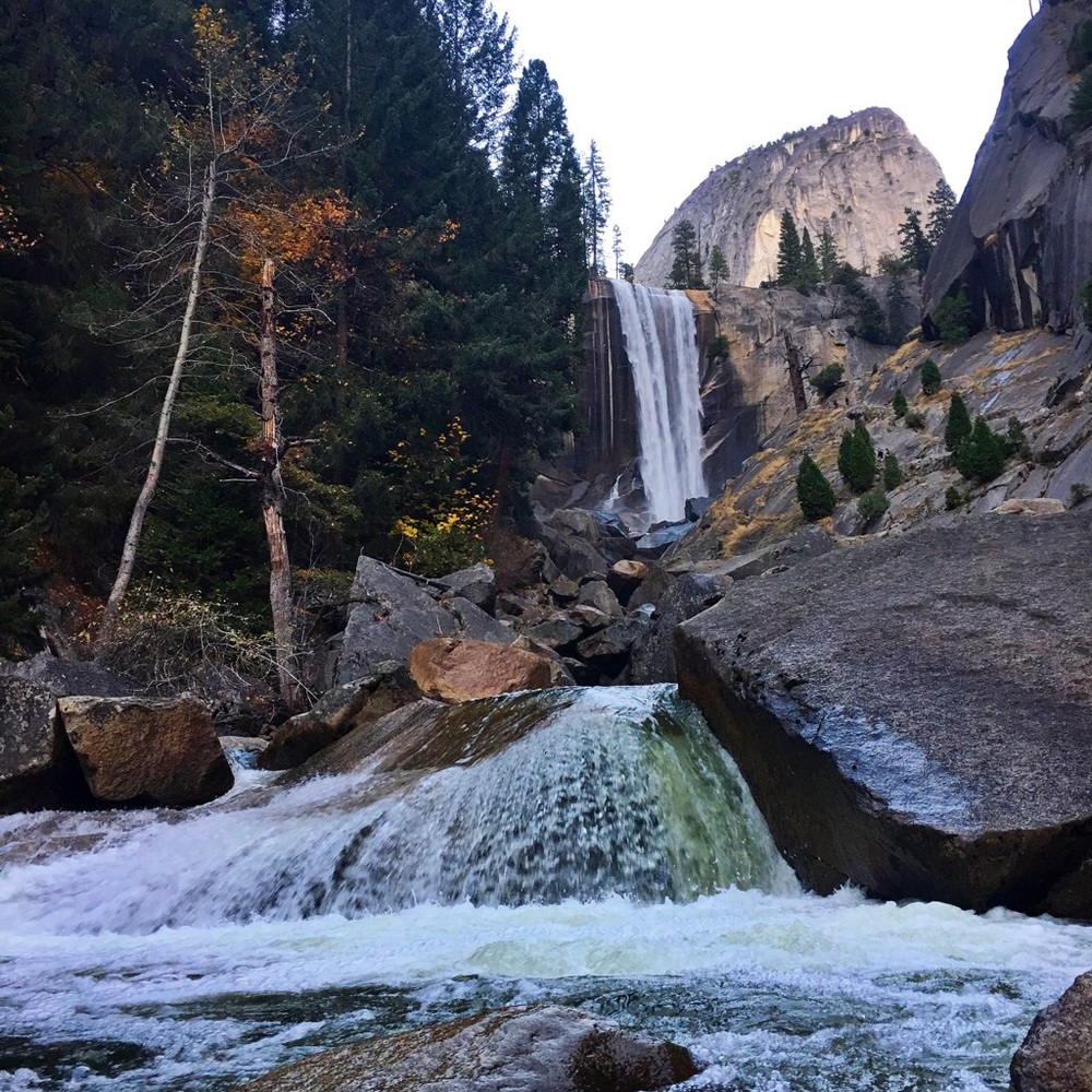 Meet your Posher, Brittnii