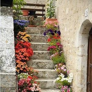 Meet your Posher, Mari b.