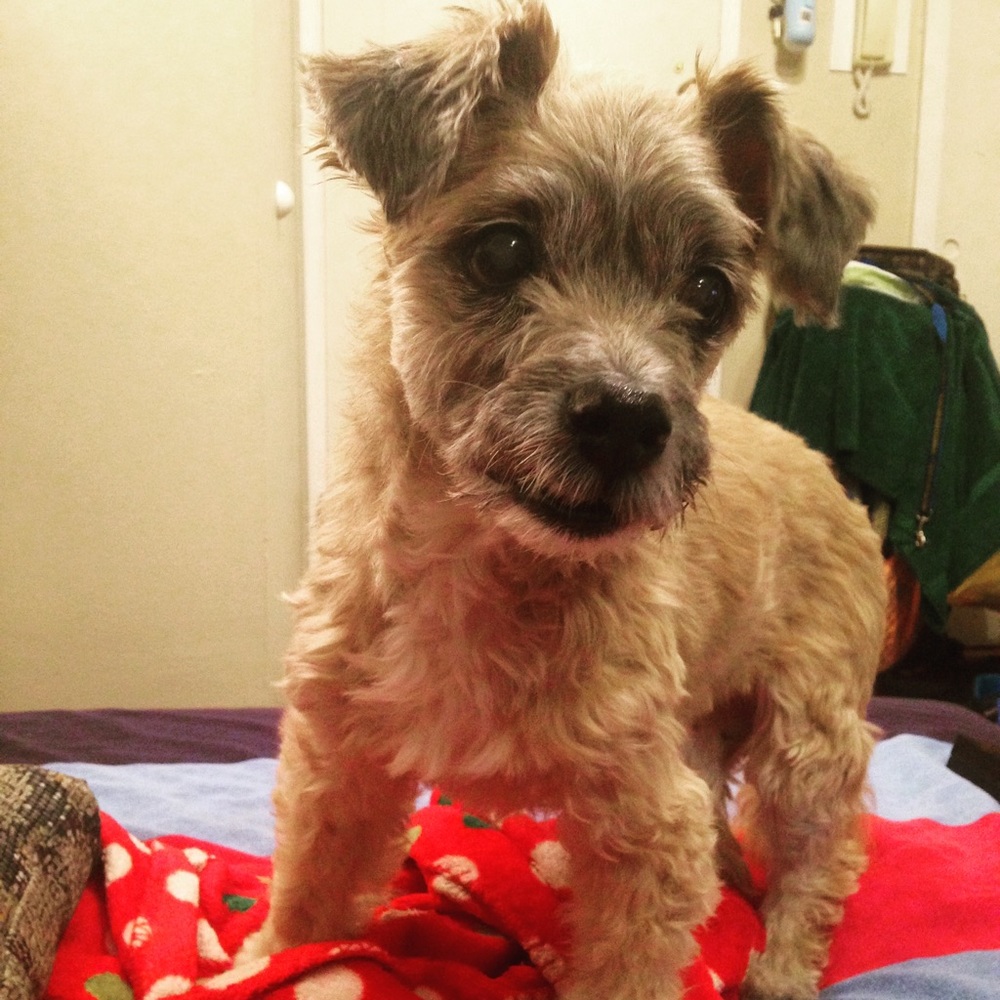 Meet your Posher, Sarah