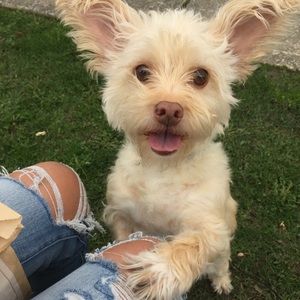 Meet your Posher, Jasmine