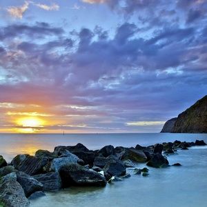 Meet your Posher, Roxanne