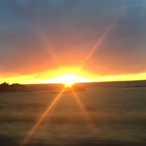 Meet your Posher, Mckenzie