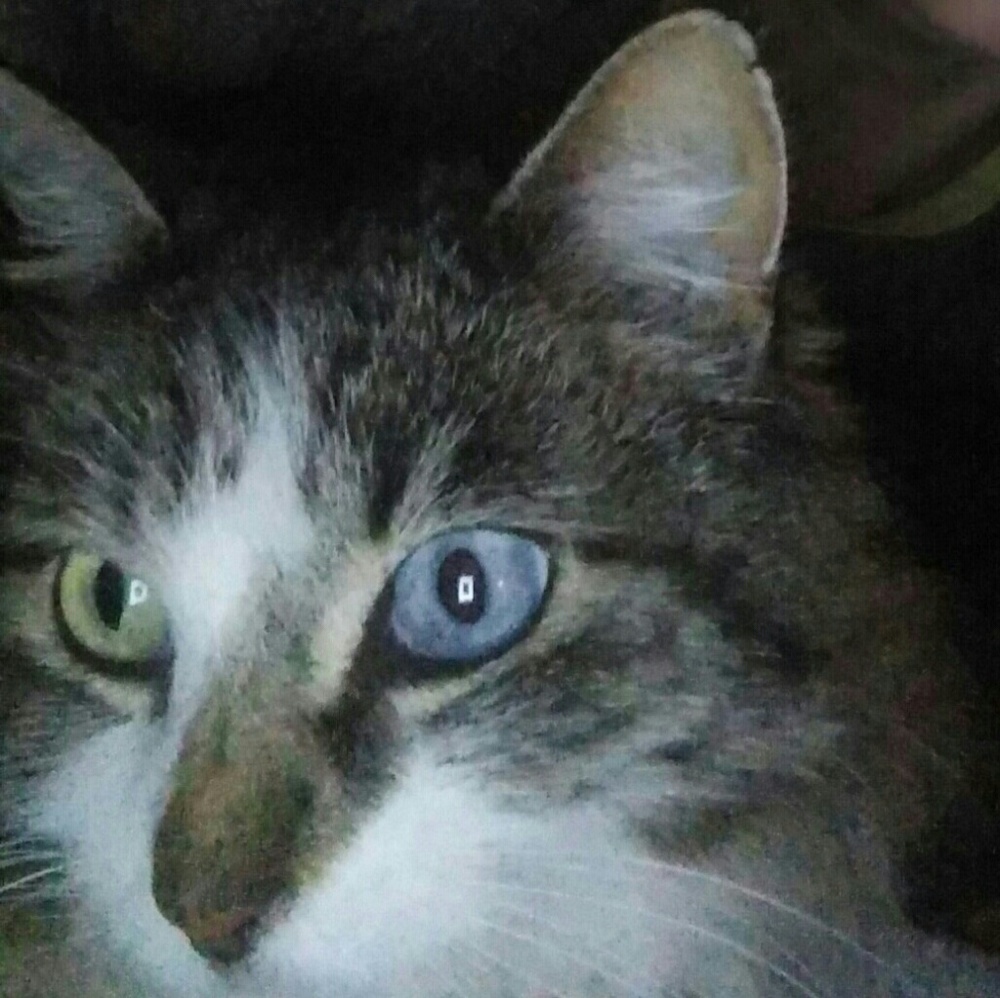 Meet your Posher, Melissa