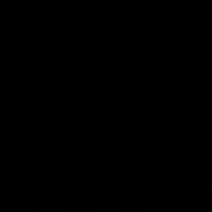 Meet your Posher, Kristina