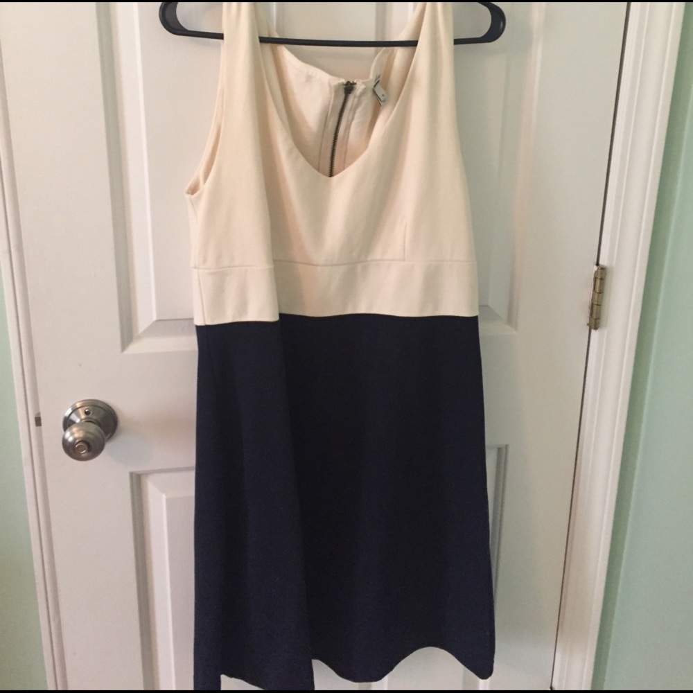 J crew white and navy dress