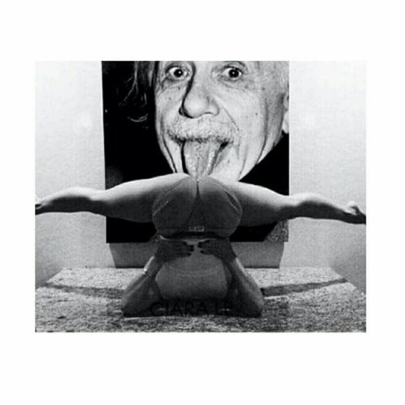 Meet your Posher, Kutty - Picture 1 of 1