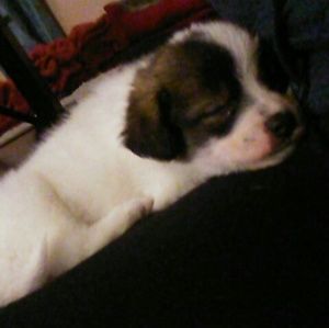 Meet your Posher, Breanne