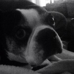 Meet your Posher, Sheila