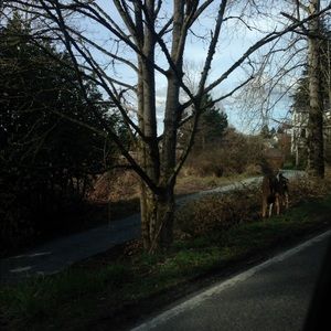 Meet your Posher, Catherine