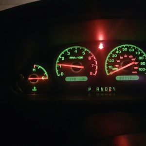 Meet your Posher, Darla