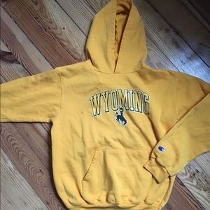 Vintage Champion Wyoming hoodie