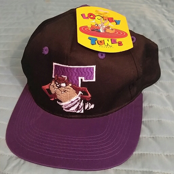Vintage Other - 🆕 *SALE* Vintage Looney Tunes Taz snapback hat